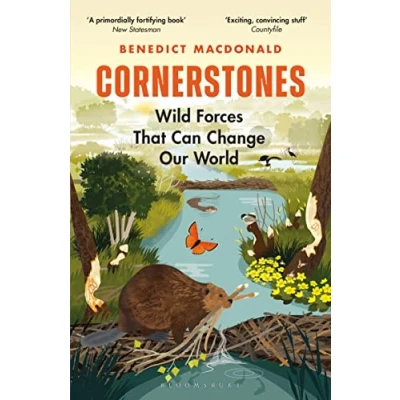Abbildung von Cornerstones: Wild Forces That Can Change Our World