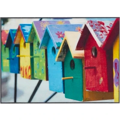 Abbildung von andiamo Fußmatte Modern Schmutzfangmatte mit rutschhemmender Rückseite außen für den Hauseingang Fußabtreter Türmatte 40 x 60 cm Vogelhäuser