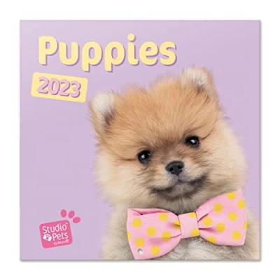 Abbildung von Grupo Erik Wandkalender 2023, Studio Pets Puppies Wandkalender, Welpen Kalender zum Aufhängen, 2023 Familienkalender offizielle Lizenz, FSC zertifiziert