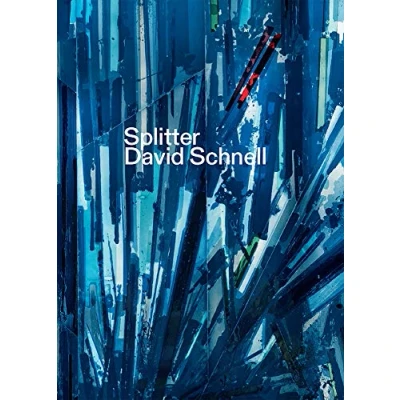 Abbildung von Splitter. David Schnell: Katalog zur Ausstellung in den Kunstsammlungen Chemnitz