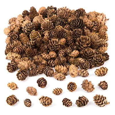 Abbildung von Baker Ross AC492 Lärchenzapfen Vorteilspack — Ideal für Kinder Kunst und Handwerk, Weihnachten, sensorische Stimulation mehr (250 g), Sortiert