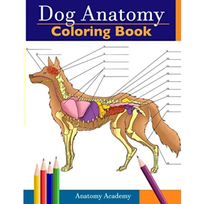 Abbildung von Dog Anatomy Coloring Book: Incredibly Detailed Self Test Canine Color workbook Perfect Gift for Veterinary Students, Lovers &amp; Adults