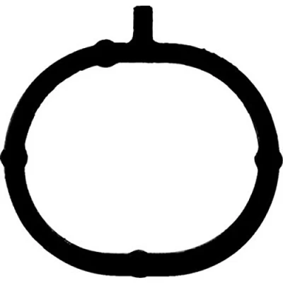 Abbildung von REINZ 71 54162 00 Ansaugkrümmerdichtung FPM (Fluor Kautschuk) HYUNDAI: i10 II Schrägheck, I, i20 Schrägheck