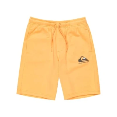 Abbildung von Quiksilver EASY DAY Jogger Youth Jogginghose für Kinder, Größe: 176, Tigerlily