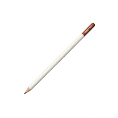 Abbildung von Tombow Farbstift IROJITEN Farbe cinnamon hochwertige wachsbasierte Mine mit hoher Farbbrillanz Künstlerfarbstift für Profi und Hobbykünstler [CI RDL2]