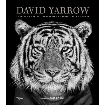 Abbildung von David Yarrow Photography: Americas Africa Antarctica Arctic Asia Europe