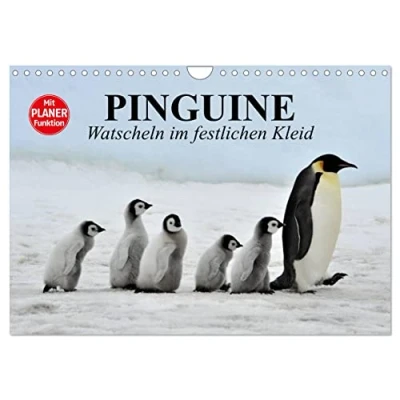 Abbildung von Pinguine Watscheln im festlichen Kleid (Wandkalender 2025 DIN A4 quer), CALVENDO Monatskalender