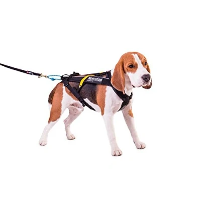 Abbildung von Non stop Dogwear Zuggeschir Freemotion varianten 4