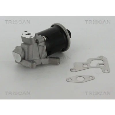 Abbildung von TRISCAN 8813 29100 AGR Ventil elektrisch mit Dichtungen VOLKSWAGEN: Lupo / 3L, Polo III Schrägheck, SEAT: Arosa