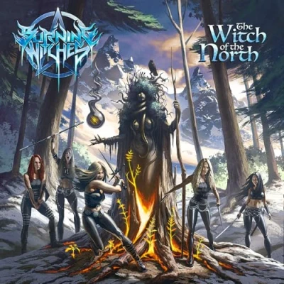 Abbildung von the Witch of North [Vinyl LP]