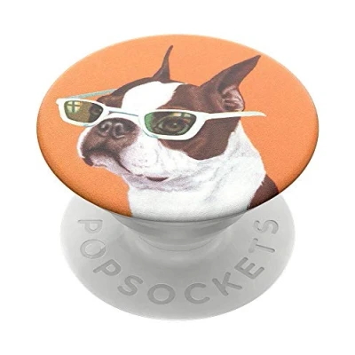 Abbildung von PopSockets PopGrip Ausziehbarer Sockel und Griff für Smartphones Tablets mit einem Austauschbarem Top Ginger