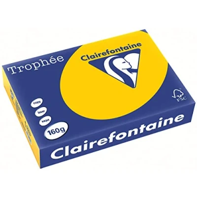 Abbildung von 4 x Clairefontaine Kopierpapier Trophee A4 160g/qm VE=250 Blatt sonnen