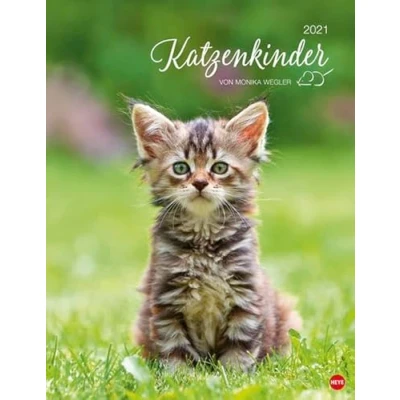 Abbildung von Katzenkinder Posterkalender von Monika Wegler niedlicher Wandkalender 2021 mit vielen Fotos und lustigen Mini Geschichten Monatskalendarium Format 34 x 44 cm