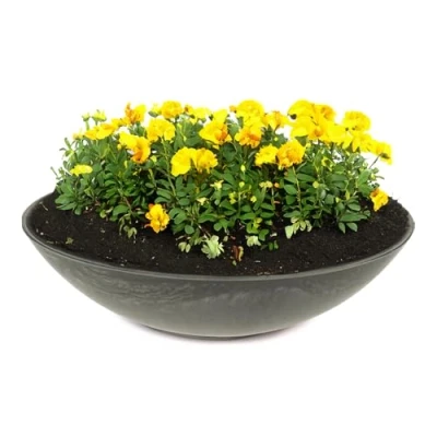 Abbildung von matches21 HOME &amp; HOBBY Wetterfeste Pflanzschale für draussen in 35 cm schwarz marmoriert als Blumenschale Dekoschale