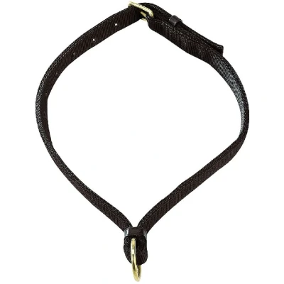 Abbildung von Norton Pferdehalsband Schwarz Warmblut
