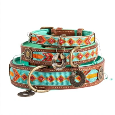 Abbildung von Dwam Halsband Paddy Lee Trkis Hundehalsband 27 33 x 2.5 cm...