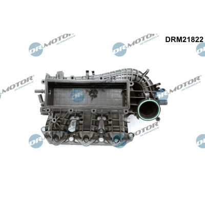 Abbildung von DR.MOTOR AUTOMOTIVE DRM21822 Ansaugbrücke mit Dichtungen VOLKSWAGEN: Polo V Schrägheck, SEAT: Ibiza 4 ST
