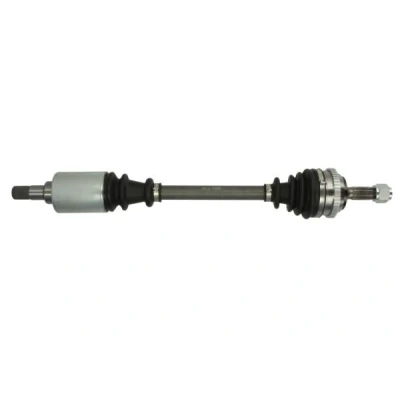 Abbildung von Antriebswelle PASCAL G2C031PC