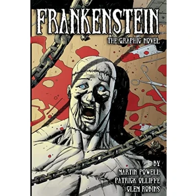 Abbildung von Frankenstein: The Graphic Novel (Campfire Novels)
