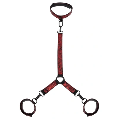 Abbildung von Hals und Handfessel „Sweet Anticipation Collar and Wrist Cuffs“, beidseitig tragbar