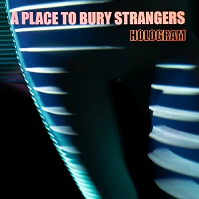 Abbildung von Hologram [Vinyl LP]