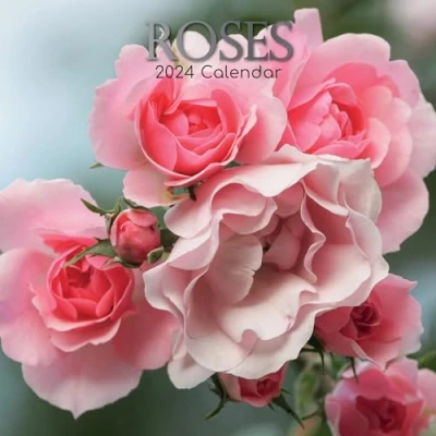 Abbildung von Roses Rosen 2024 16 Monatskalender: Original Gifted Stationery Kalender [Mehrsprachig] [Kalender] (Wall Kalender)