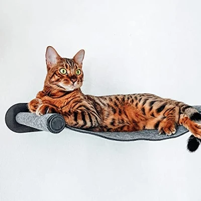 Abbildung von Canadian Cat Company Katzen Hängematte mit Wandmontage, anthrazit, ca. 65 x 35 10 cm, Kletterwand Liegemulde Wandliege Katzenbett aus Filz