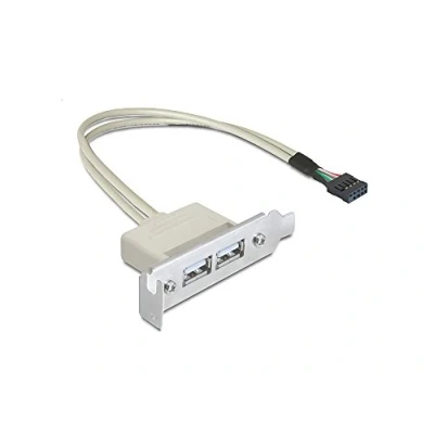 Abbildung von DELOCK Slotblech USB 2.0 2xport Low Profile