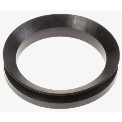 Abbildung von Wellendichtring V40a