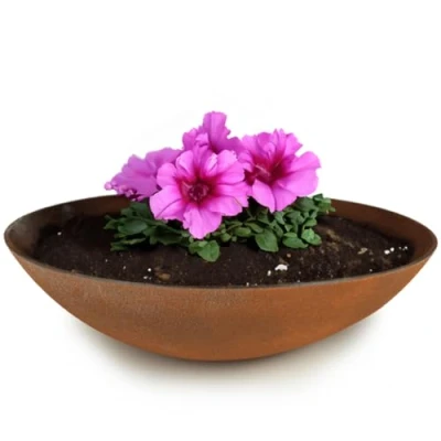 Abbildung von matches21 wetterfeste Pflanzschale für draußen große XXL Dekoschale in Rost Metall Optik als Blumenschale Flache Garten Schale 45 cm Blumen, Bonsai oder Friedhof Grab Schmuck
