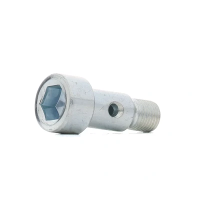 Abbildung von FA1 989 10 002 Hohlschraube, Lader PEUGEOT: 207 CC, 308 I SW, Schrägheck, FORD: Fusion Kombi, Focus 2 C Max