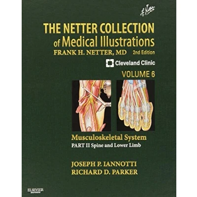Abbildung von The Netter Collection of Medical Illustrations: Musculoskeletal System, Volume 6, Part II Spine and Lower Limb: System: Limb (Netter Green Book Collection, Band 6)