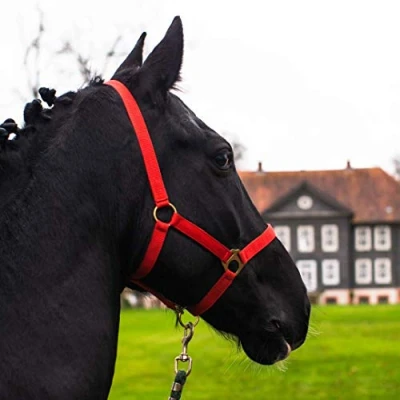 Abbildung von Halfter für Pferd Warmblut, Vollblut, Kaltblut Stallhalfter, Weidehalfter, 2 Fach verstellbar an Kinnriemen und Genickstück, sicher &amp; reißfest (Rot, Kaltblut)