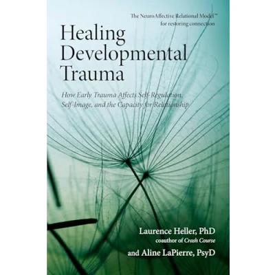 Abbildung von Healing Developmental Trauma: How Early Trauma Affects Self Regulation, Image, and the Capacity for Relationship