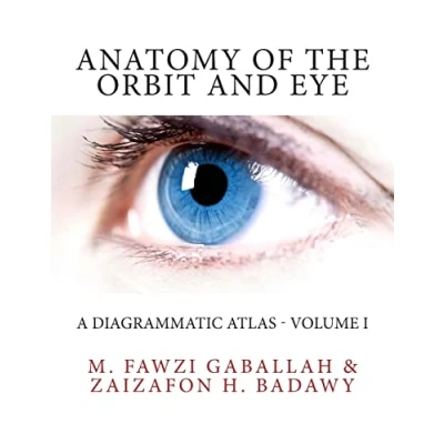 Abbildung von Anatomy of the Orbit and Eye: A Diagrammatic Atlas Volume I
