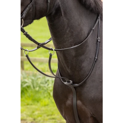 Abbildung von LeMieux Martingaal Arika Running Schwarz/Silber Warmblut