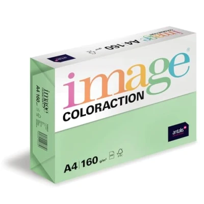 Abbildung von Image Coloraction Forest farbiges Kopierpapier DIN A4, 210 x 297 mm, 160 g/m² buntes, holzfreies Druckerpapier für Kopierer 250 Blatt Grün