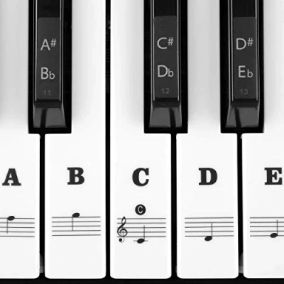 Abbildung von Klavier Keyboard Aufkleber für 54/61 / 76/88 Tasten Noten Piano Sticker weiße &amp; schwarze Transparent und abnehmbar (Schwarz)
