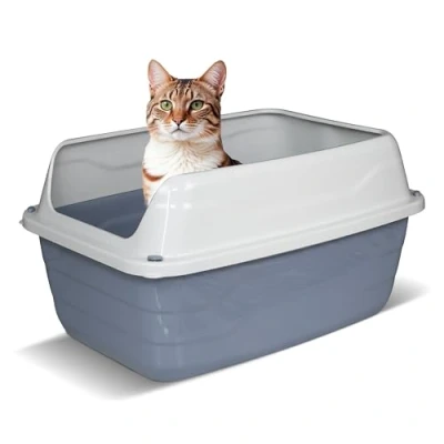 Abbildung von Snugsy Katzenklo Groß Katzentoilette Offen Mit Sehr Hohem Rand Ohne Deckel 56 x 40 cm XL Grau