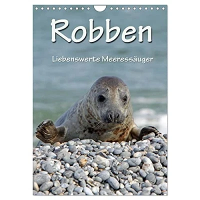 Abbildung von Robben (Wandkalender 2025 DIN A4 hoch), CALVENDO Monatskalender