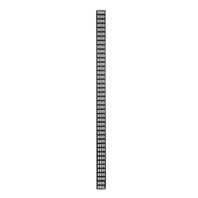 Abbildung von DSIT 42HE vertikale Kabelführungsleiste 10 cm breit