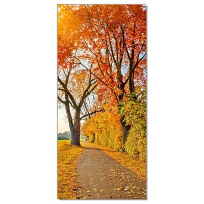 Abbildung von Wallario Selbstklebende Türtapete Herbstlicher Waldweg mit Buntem Laub Türposter 93 x 205 cm Abwischbar, rückstandsfrei zu entfernen