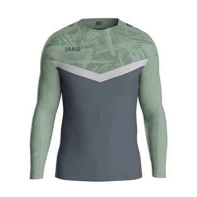 Abbildung von JAKO Fussball TEAM Langarmshirt, Herren, Größe: Large, Graugruen
