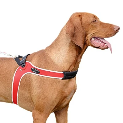 Abbildung von Tre Ponti Hundegeschirr Ratschenverschluss, Rot, reflektierend, Größe 4,5