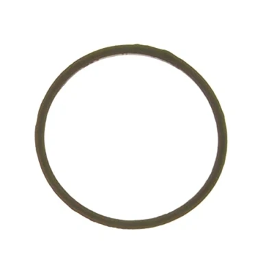 Abbildung von AJUSA 00538300 Dichtung, Thermostat PEUGEOT: 306 Cabrio, Schrägheck, 106 II CITROËN: Xsara Schrägheck