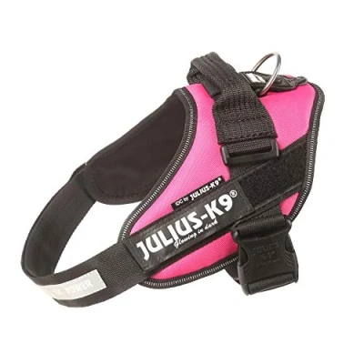 Abbildung von Julius K9 Hunde Powergeschirr Hundegeschirr pink