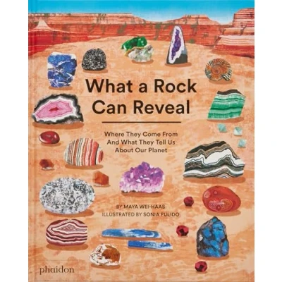Abbildung von What a Rock Can Reveal: Where They Come From And Tell Us About Our Planet