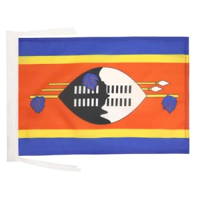 Abbildung von AZ FLAG Flagge Swasiland 45x30 Cm Mit Kordel Königreich Fahne 30 x 45 Flaggen