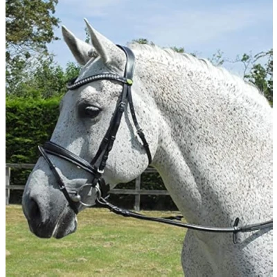 Abbildung von Rhinegold 0 Anatomic Bridle Full Havana Trense, Volle Größe