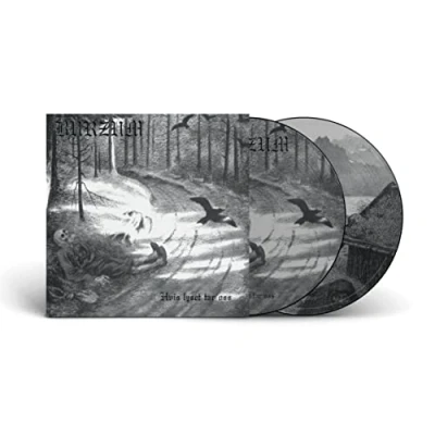 Abbildung von Hvis Lyset Tar Oss (Picture Disc) [Vinyl LP]